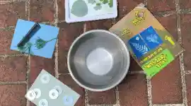 summer science activities for preschoolers